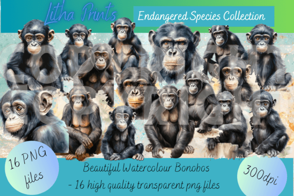 Watercolour Bonobos: Digital Art for Conservation