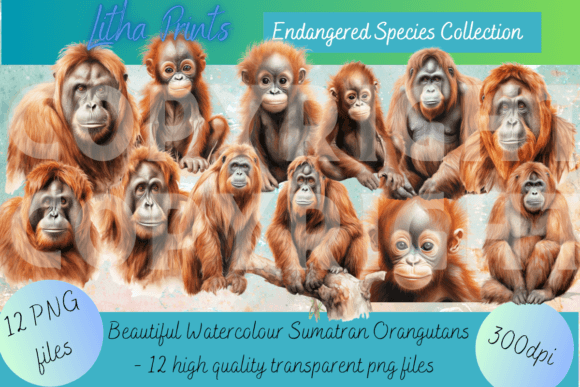 Watercolour Sumatran Orangutan: Art for a Cause